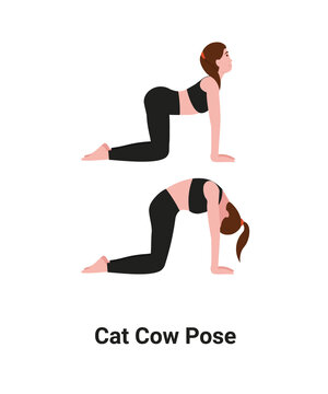 Cat Cow Pose (Marjaryasana-Bitilasana)